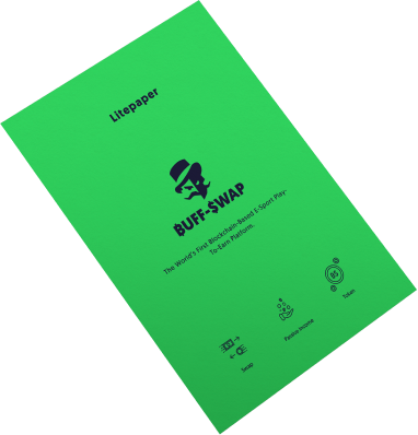 litepaper book