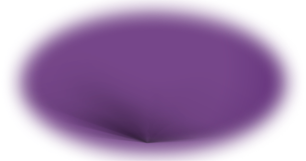 litepaper book shadow